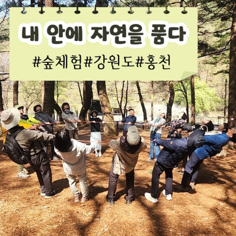 강원더몰,[내 안에 자연을 품다] 숲체험ㅣ강원도ㅣ 홍천