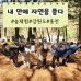 썸네일(스크롤)