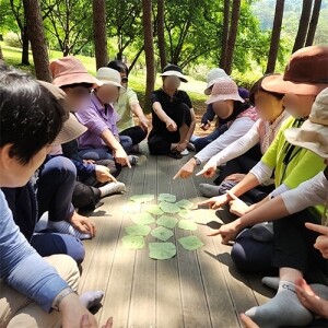 [내 안에 자연을 품다] 숲체험ㅣ강원도ㅣ 홍천