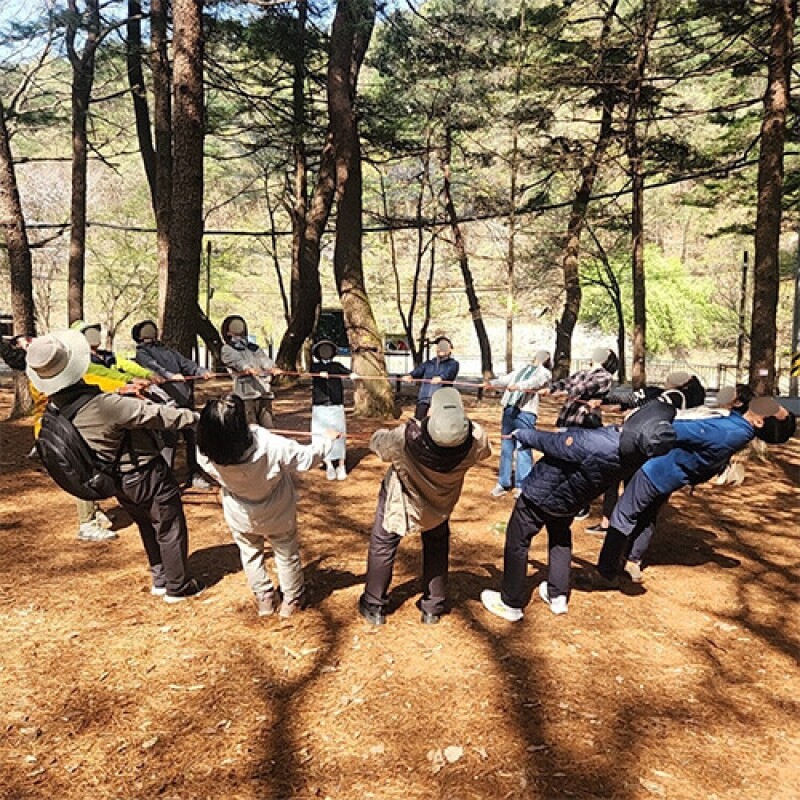 강원더몰,[내 안에 자연을 품다] 숲체험ㅣ강원도ㅣ 홍천