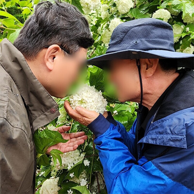 강원더몰,[내 안에 자연을 품다] 숲체험ㅣ강원도ㅣ 홍천