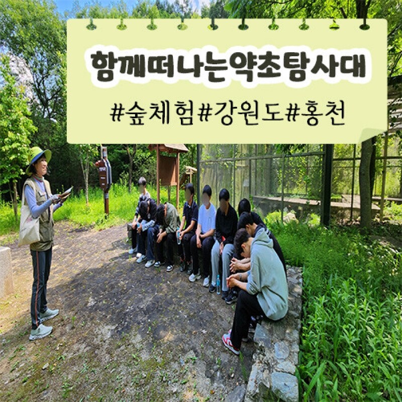 약리원,[함께 떠나는 약초탐사대] 숲체험ㅣ강원도ㅣ홍천군
